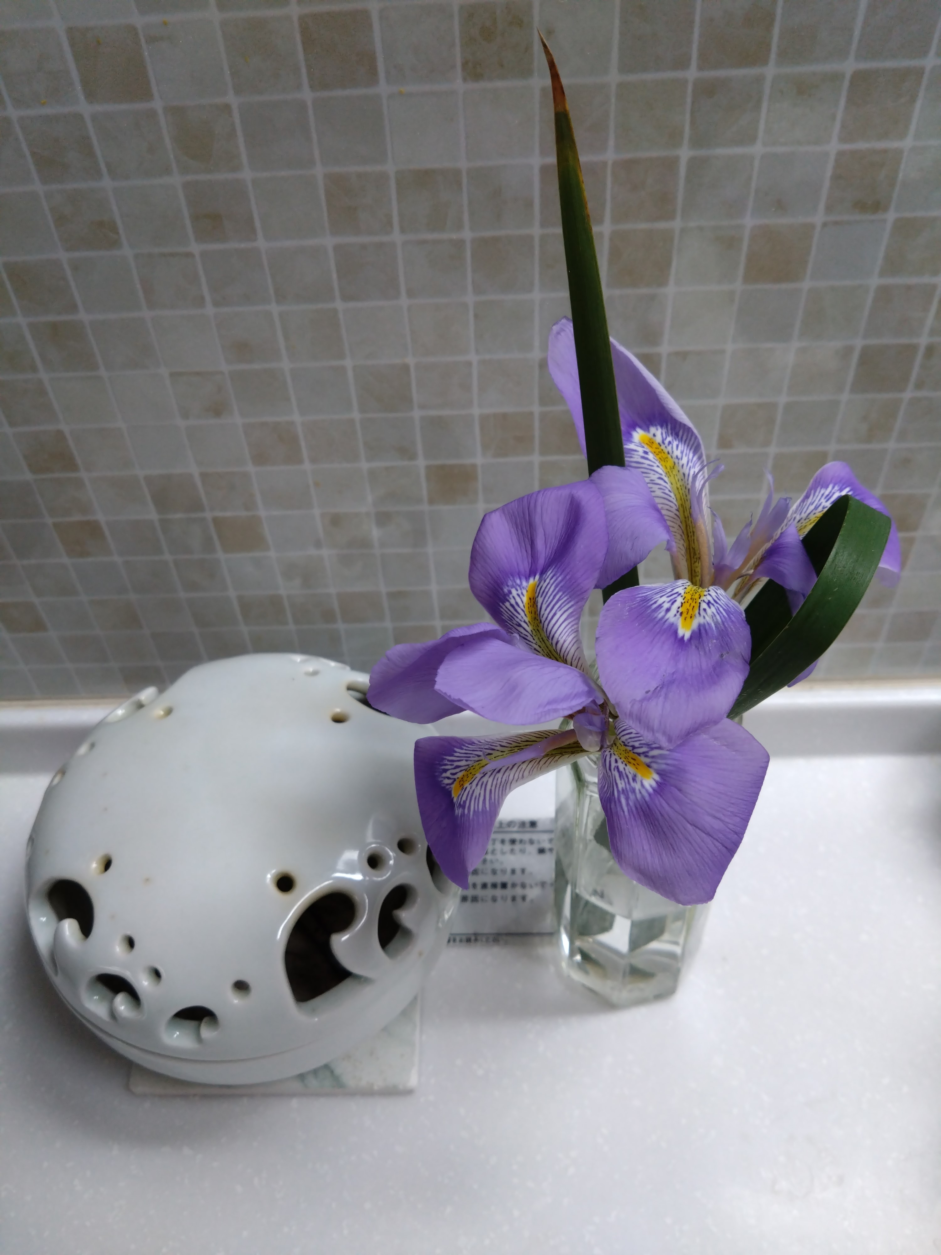 �w�`�}���n